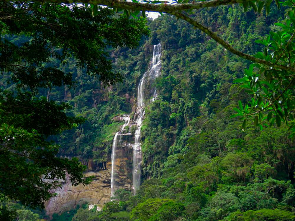 Cataratas del Ahuashiyacu